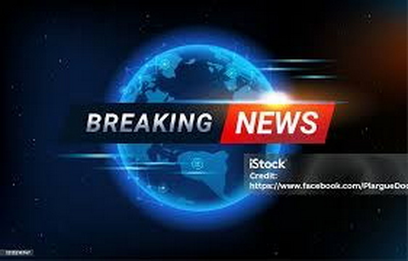 Под Ростовом на дороге заметили сбежавшего из парка кенгуру
